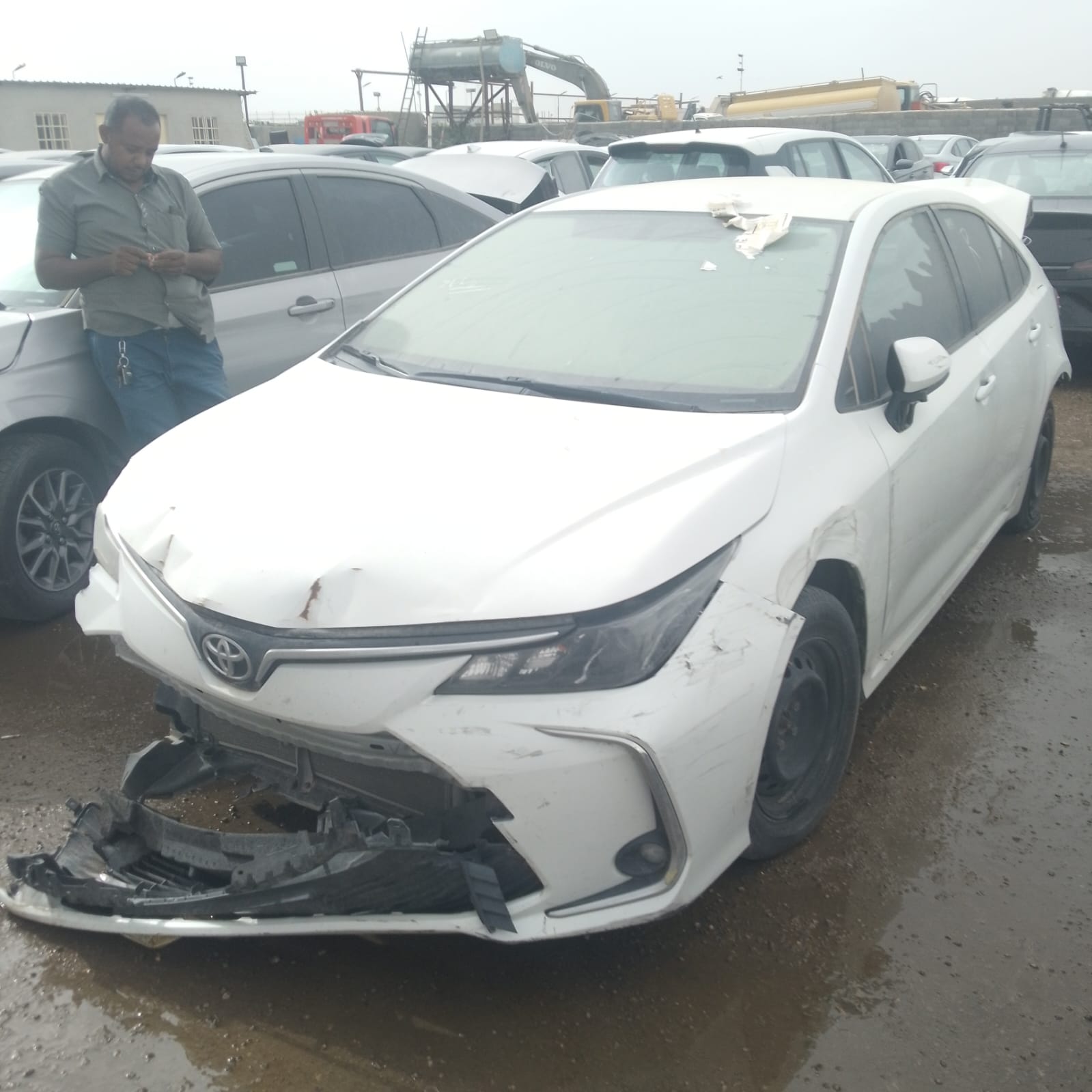 تويوتا كورلا