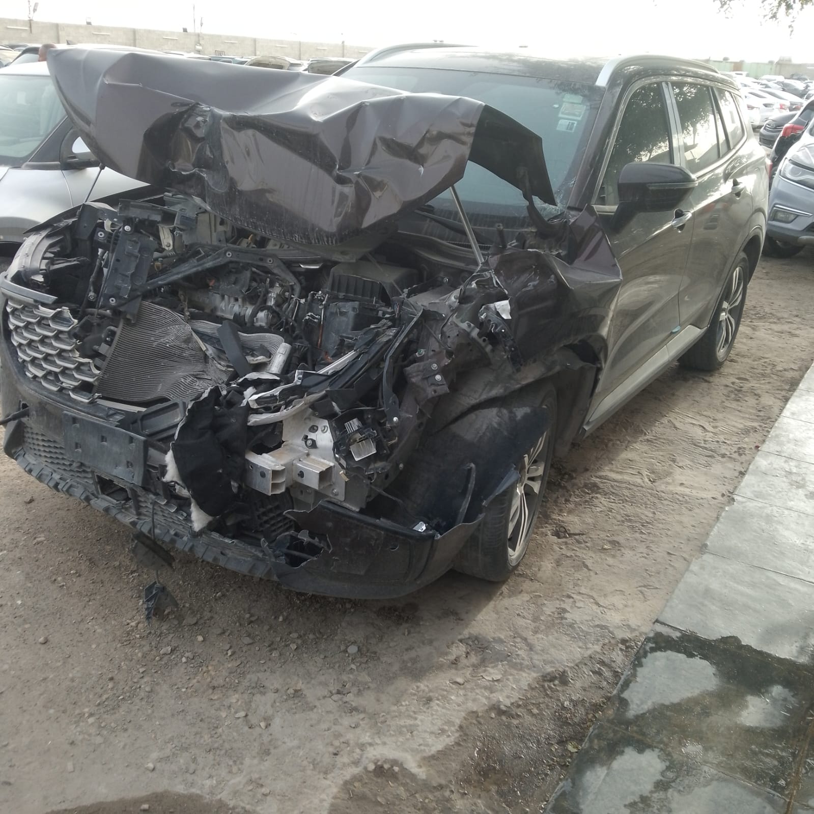 فورد تيرتوري