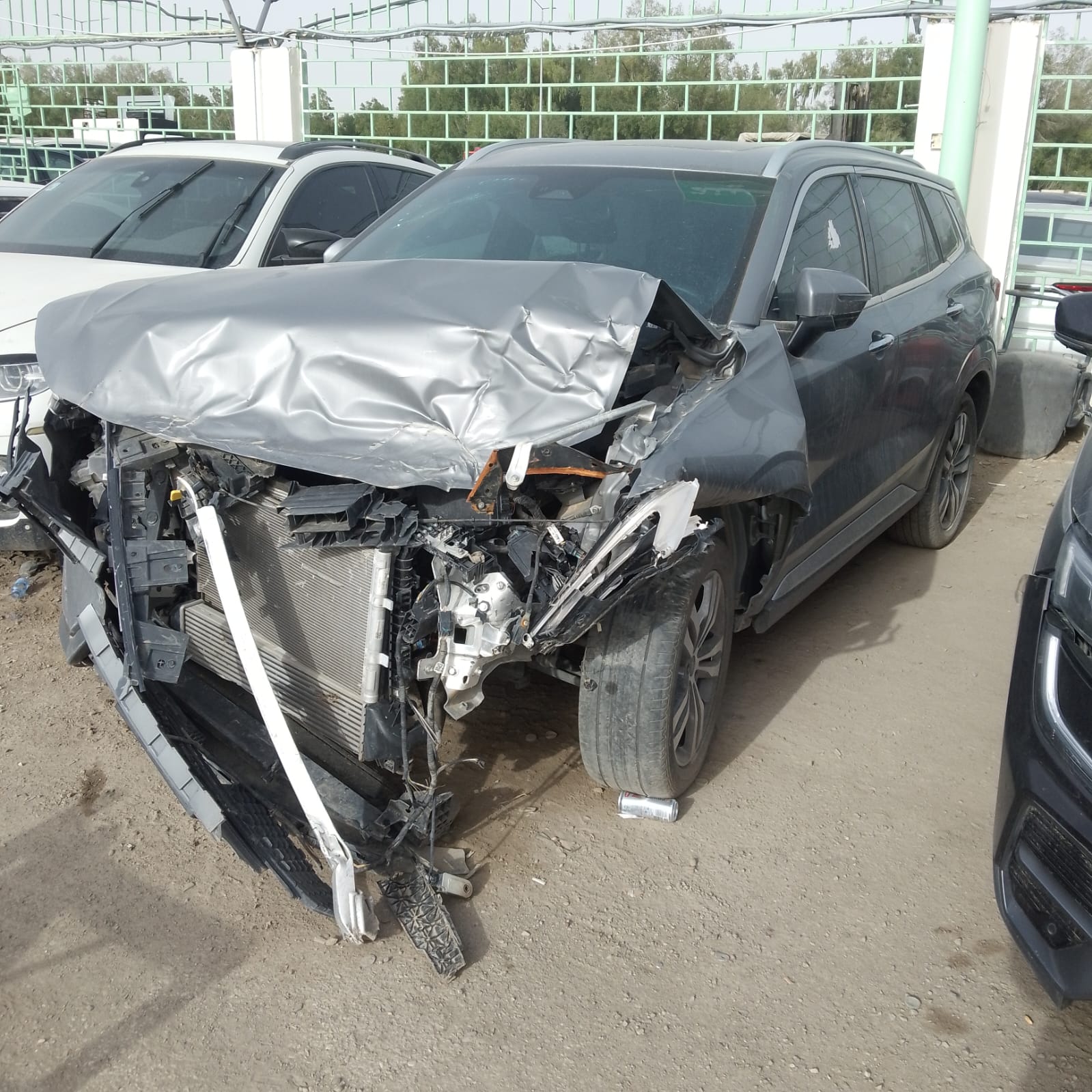 فورد تيرتوري