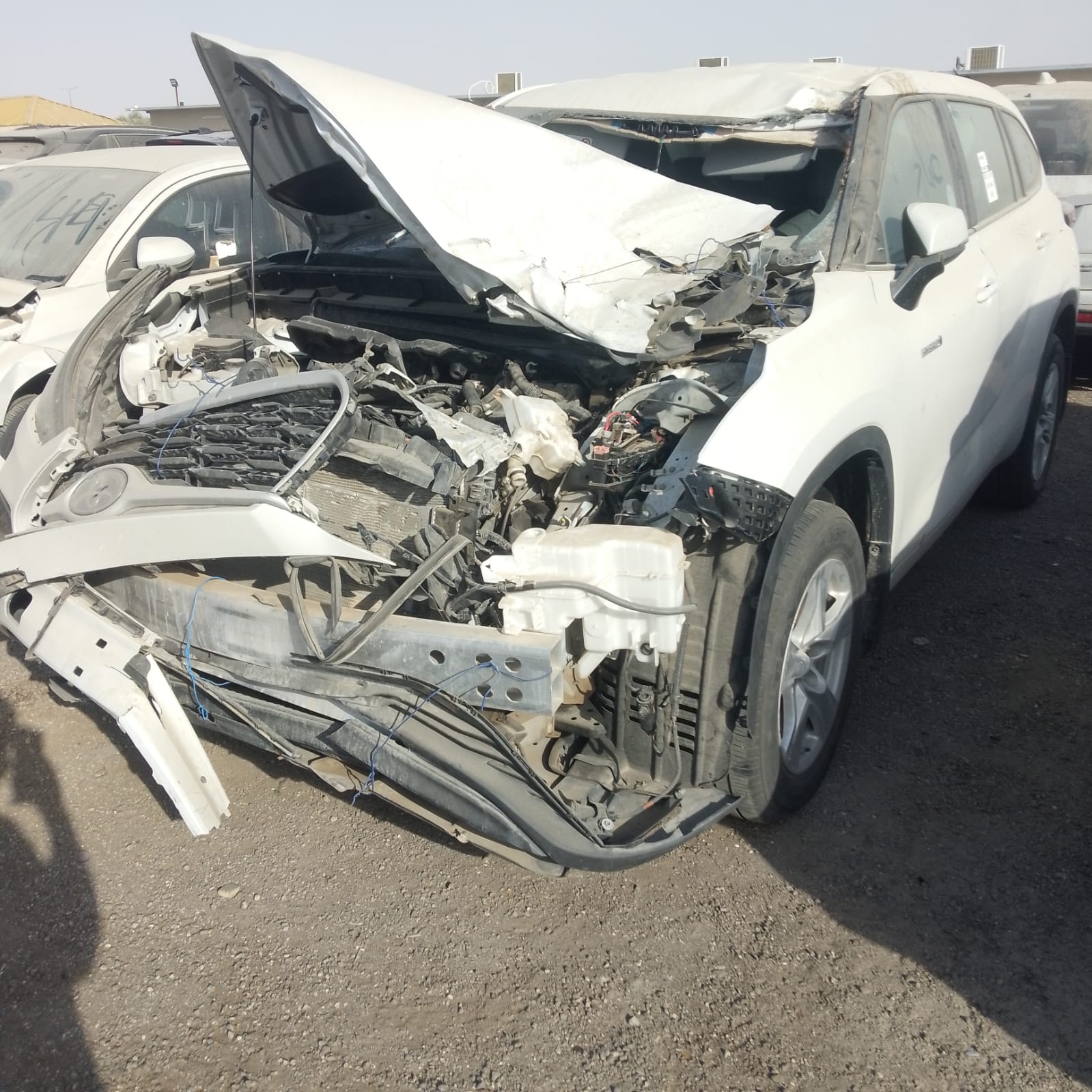 تويوتا هايلاندر