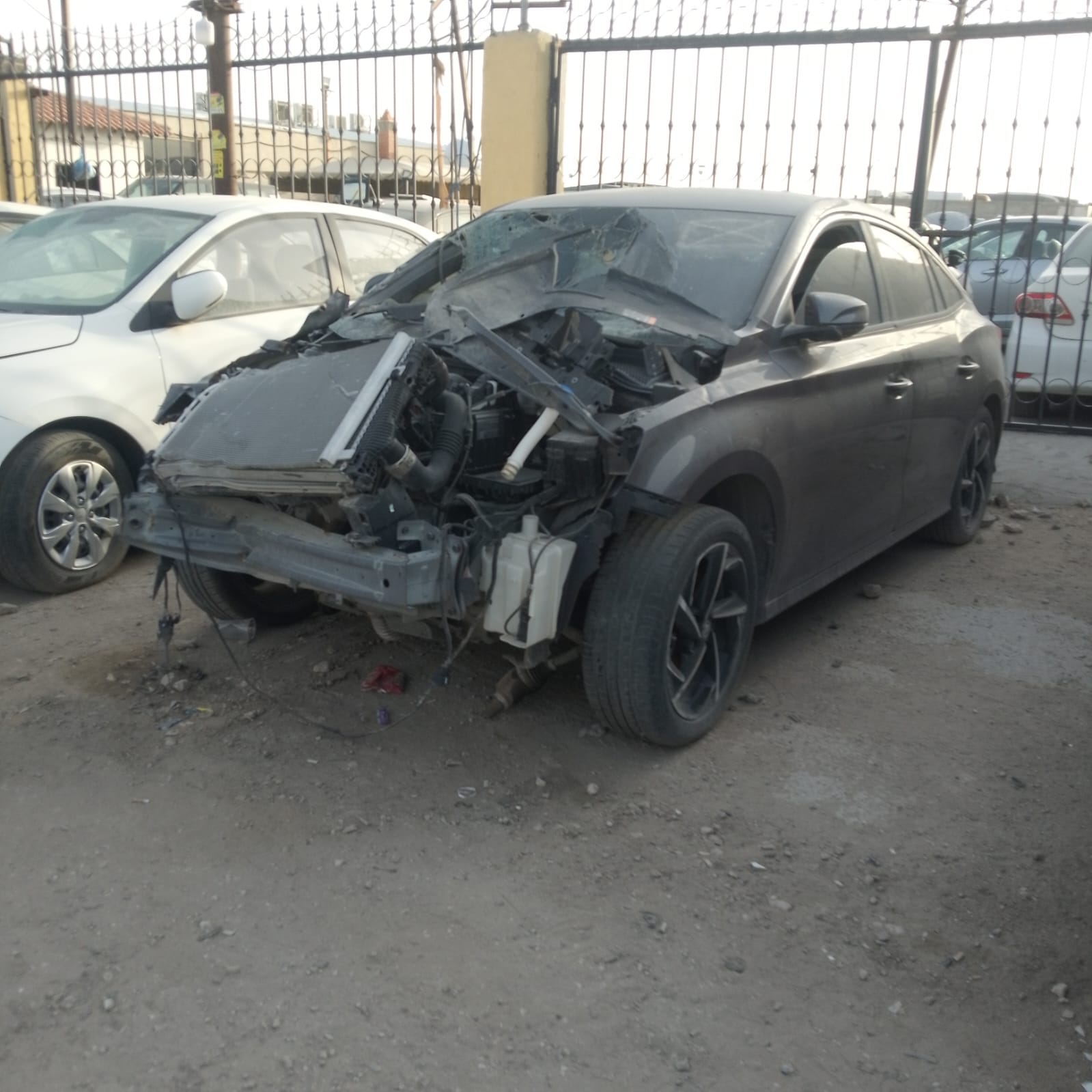 mg 5