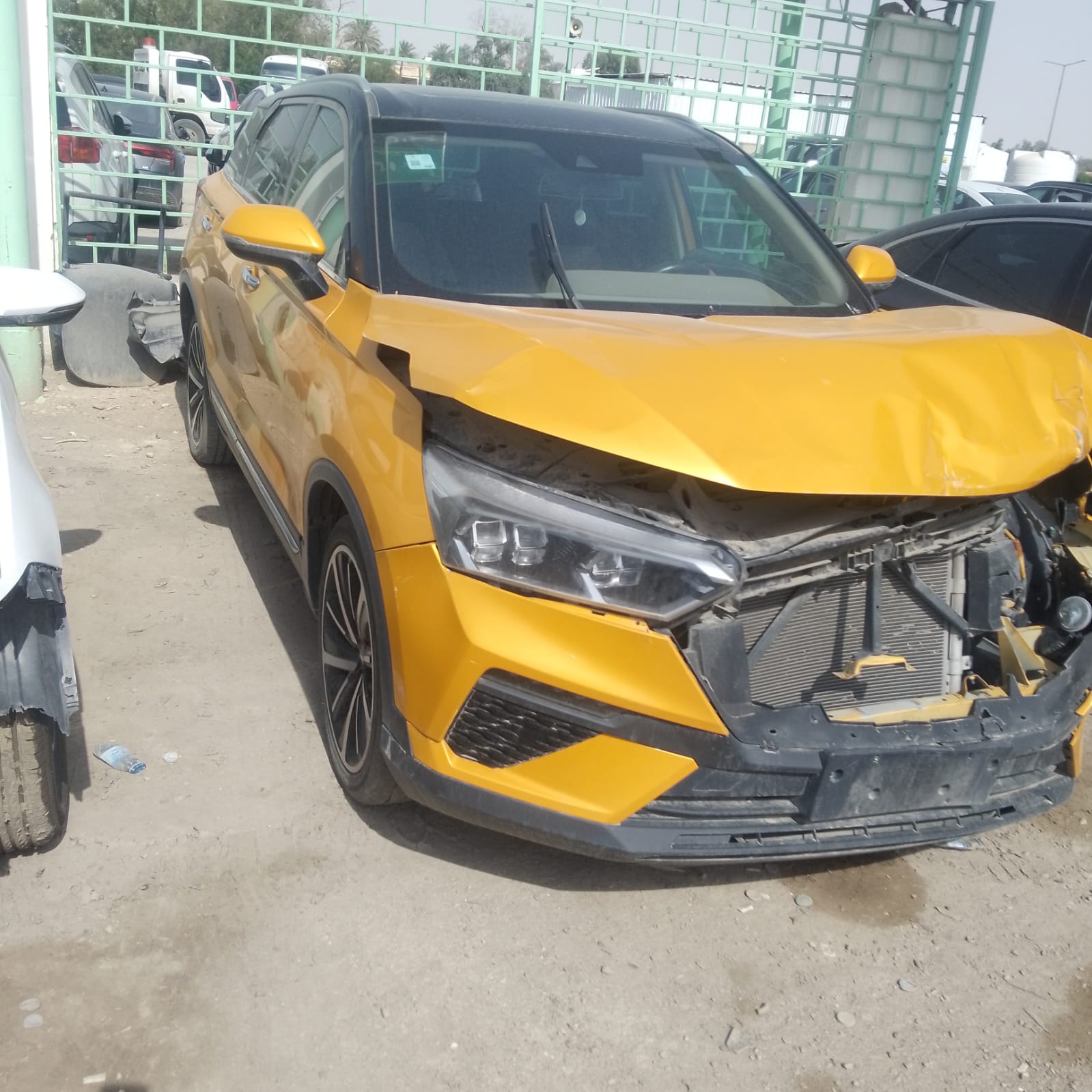 فاو X40