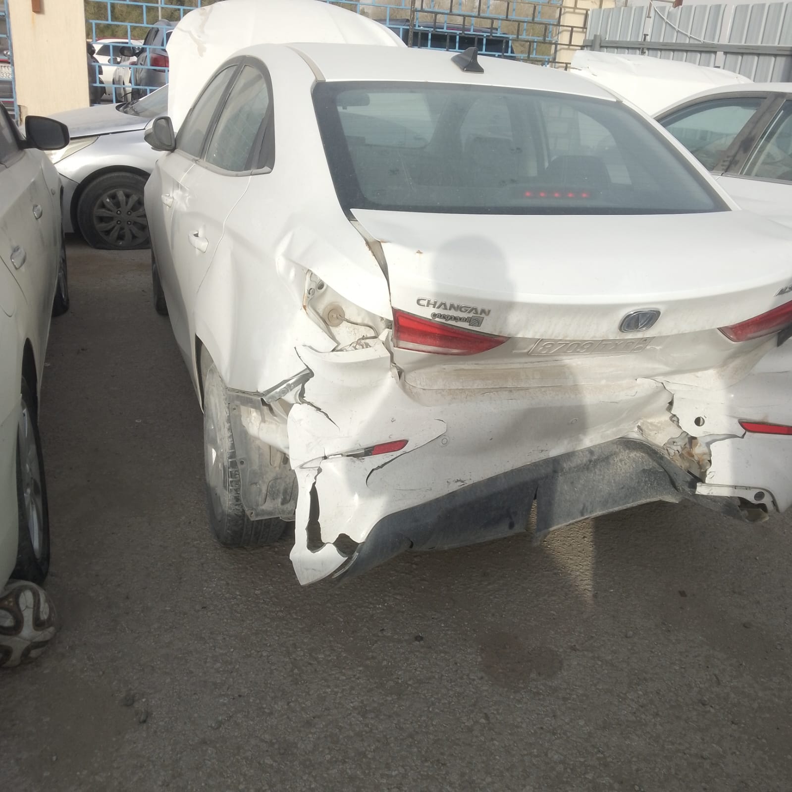 شان جان cs75